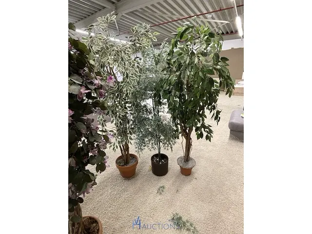 7 namaakplanten - afbeelding 3 van  3