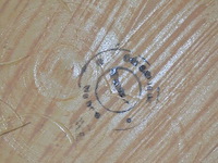 7 porseleinen borden diverse grootte - afbeelding 7 van  13