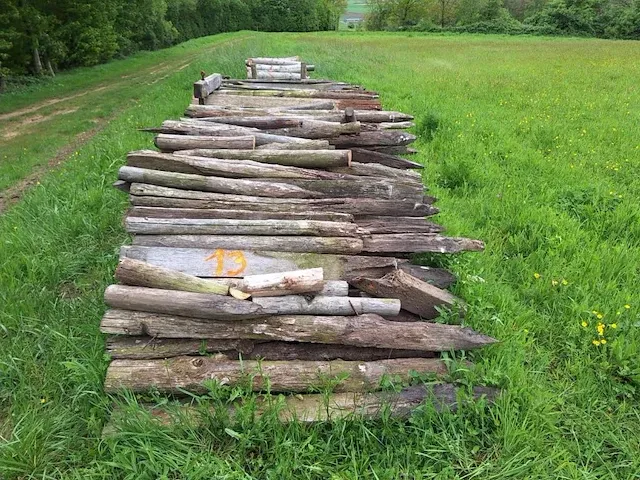 7,5 stère kastanje - afbeelding 1 van  2