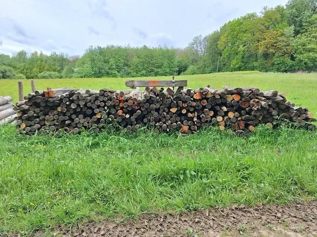 7,5 stère kastanje - afbeelding 2 van  2