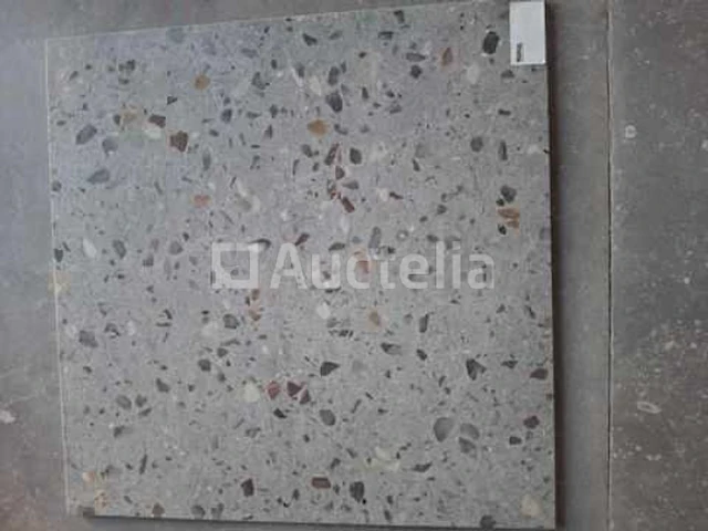 7m² camelot artu 60x60 recitrated, terrazzo effect - afbeelding 1 van  1