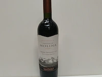 7x 75cl castillo de molina - afbeelding 1 van  2