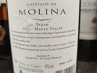 7x 75cl reserva castillo de molina - afbeelding 2 van  2