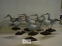 ±8 beeldjes vogels - afbeelding 1 van  3