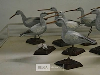 ±8 beeldjes vogels - afbeelding 2 van  3