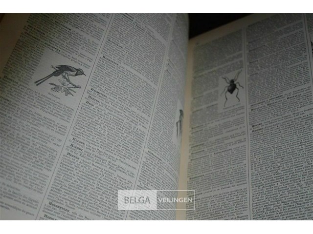 8 delen van de encyclopedie nouveau larousse illustré - afbeelding 4 van  6