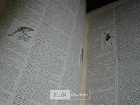 8 delen van de encyclopedie nouveau larousse illustré - afbeelding 4 van  6