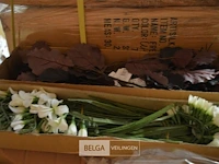 ±8 dozen plastic bloemen - afbeelding 1 van  5