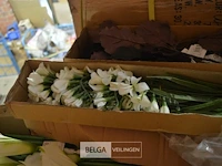 ±8 dozen plastic bloemen - afbeelding 4 van  5