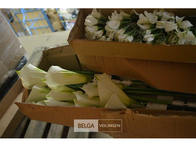 ±8 dozen plastic bloemen - afbeelding 5 van  5