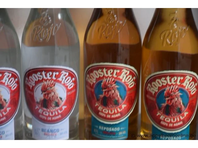 8 flessen à 70cl taquila rooster rojo 38% - afbeelding 2 van  3