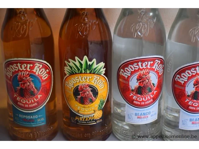 8 flessen à 70cl taquila rooster rojo 38% - afbeelding 3 van  3