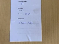 8 houten stoeltjes zithoogte 36 cm - afbeelding 2 van  2