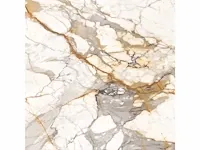 80,64m² - 120x120cm - xxl gold glossy gerectificeerd - afbeelding 2 van  4