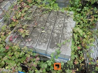 [8904-113] 12 borders 15cmx27cmx100cm type ie - afbeelding 1 van  4