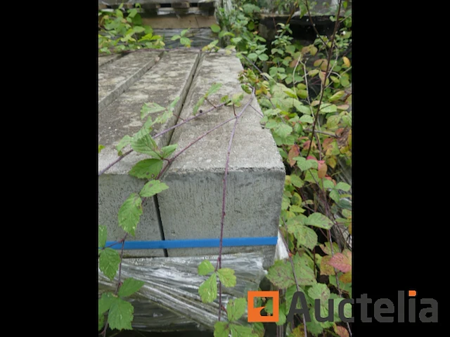 [8904-113] 12 borders 15cmx27cmx100cm type ie - afbeelding 2 van  4