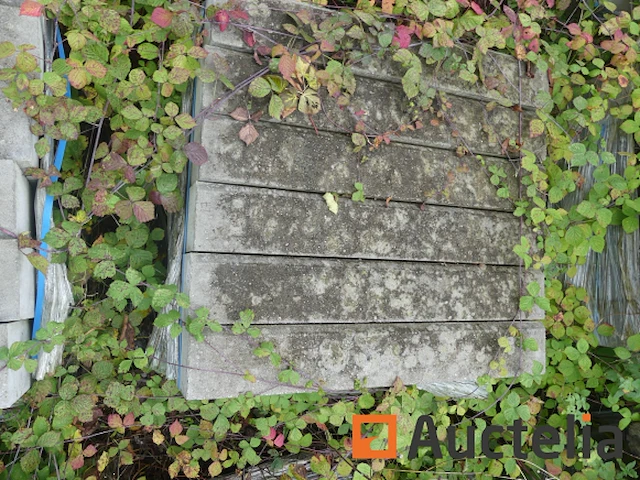 [8904-113] 12 borders 15cmx27cmx100cm type ie - afbeelding 4 van  4