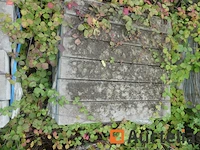 [8904-113] 12 borders 15cmx27cmx100cm type ie - afbeelding 4 van  4