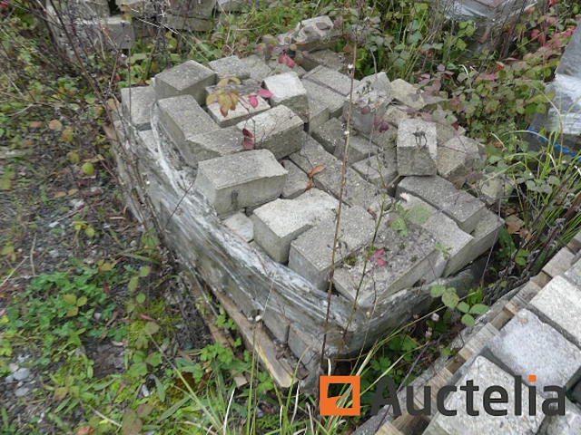 [8904-121]verkoop van diverse cement- en natuurklinkers, 15 pallets - afbeelding 2 van  17