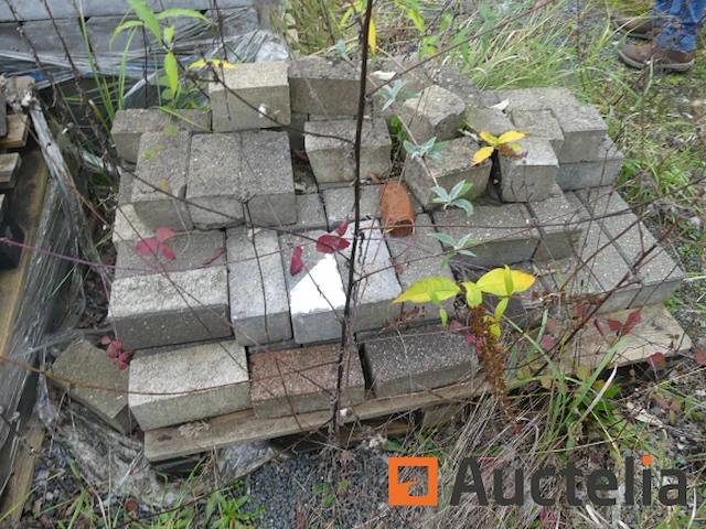 [8904-121]verkoop van diverse cement- en natuurklinkers, 15 pallets - afbeelding 6 van  17