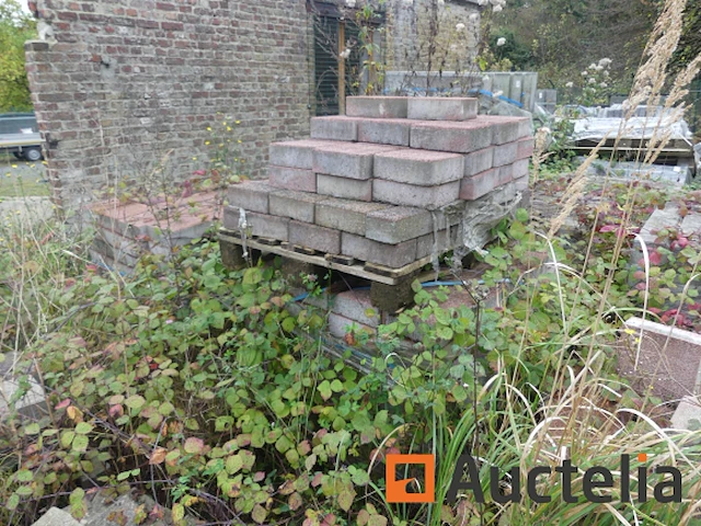 [8904-121]verkoop van diverse cement- en natuurklinkers, 15 pallets - afbeelding 8 van  17