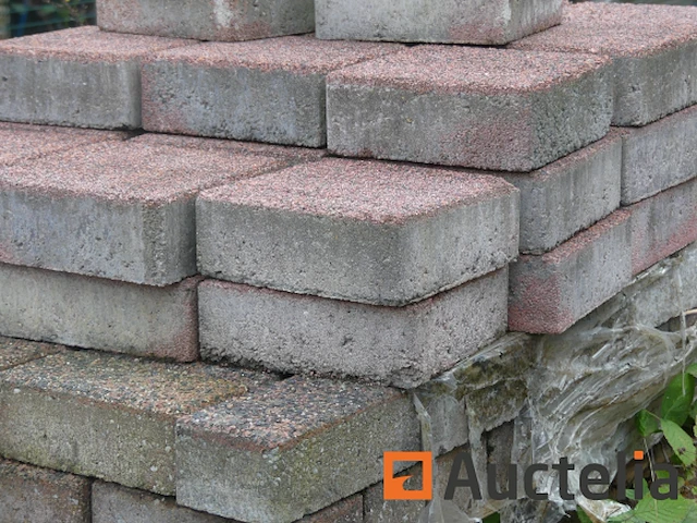 [8904-121]verkoop van diverse cement- en natuurklinkers, 15 pallets - afbeelding 9 van  17