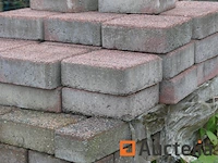 [8904-121]verkoop van diverse cement- en natuurklinkers, 15 pallets - afbeelding 9 van  17