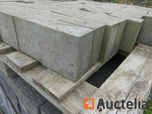 [8904-121]verkoop van diverse cement- en natuurklinkers, 15 pallets - afbeelding 10 van  17