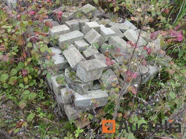 [8904-121]verkoop van diverse cement- en natuurklinkers, 15 pallets - afbeelding 13 van  17