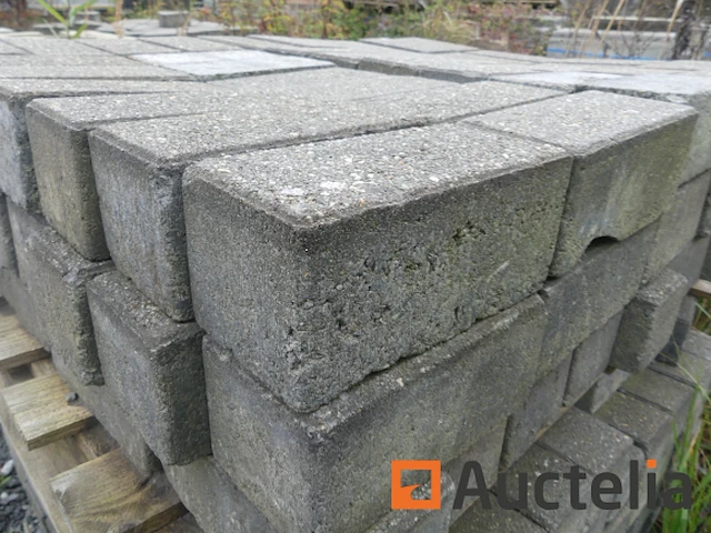 [8904-121]verkoop van diverse cement- en natuurklinkers, 15 pallets - afbeelding 14 van  17