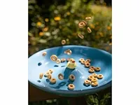 8x baby duck plate blauw - afbeelding 3 van  5