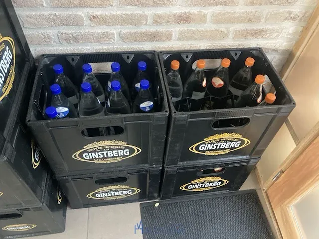 9 bakken ginstberg - afbeelding 4 van  4
