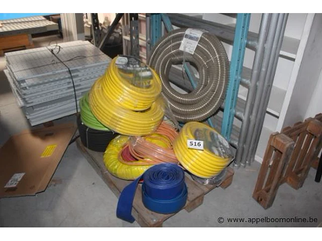 9 diverse waterdarmen - afbeelding 1 van  3