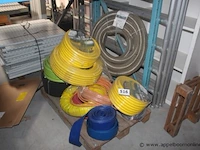 9 diverse waterdarmen - afbeelding 1 van  3