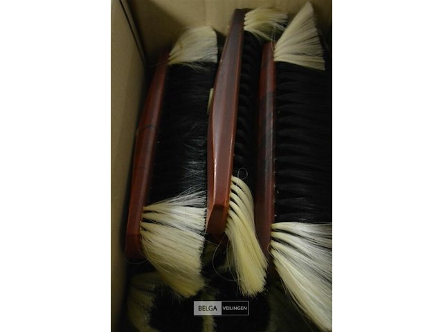 9 kamerbezem - afbeelding 2 van  3