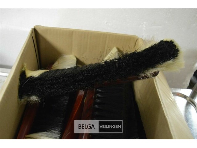 9 kamerbezem - afbeelding 3 van  3