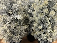 9 kerstboompjes ± h 45cm - afbeelding 1 van  4