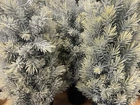 9 kerstboompjes ± h 45cm - afbeelding 2 van  4