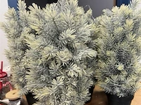 9 kerstboompjes ± h 45cm - afbeelding 3 van  4