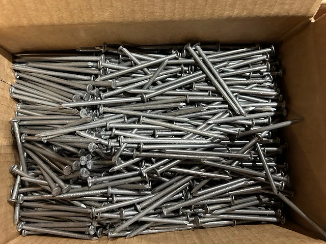 99 dozen nagels - afbeelding 1 van  3