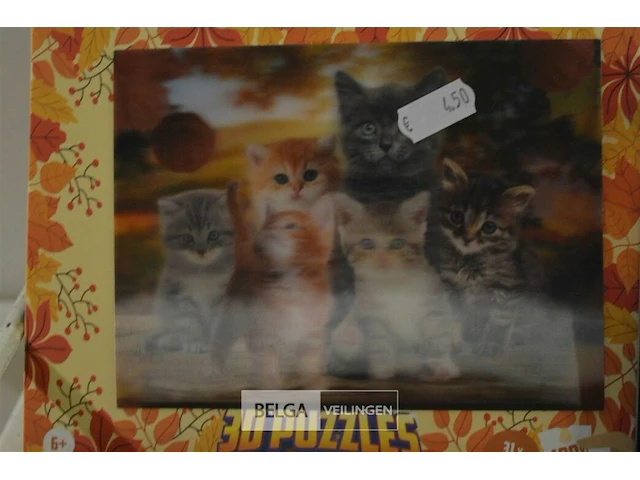 9x3d puzzels 31x23cm - afbeelding 4 van  7