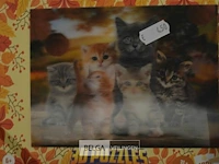 9x3d puzzels 31x23cm - afbeelding 4 van  7
