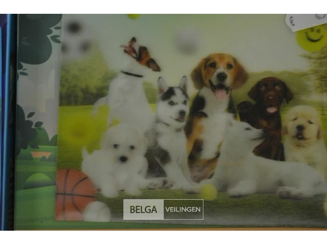 9x3d puzzels 31x23cm - afbeelding 5 van  7