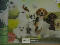9x3d puzzels 31x23cm - afbeelding 5 van  7