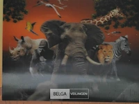 9x3d puzzels 31x23cm - afbeelding 6 van  7