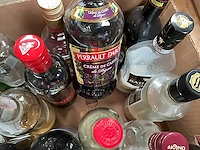 Aangebroken flessen sterke drank (24x) - afbeelding 7 van  8