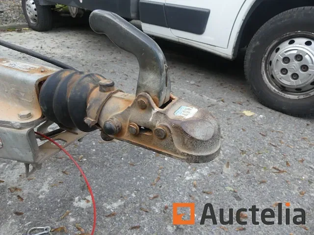 Aanhanger saris kantelen - afbeelding 4 van  15