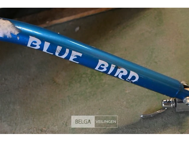 Aanhangfiets blue bird - afbeelding 3 van  4