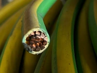 Aardingskabels - afbeelding 3 van  8