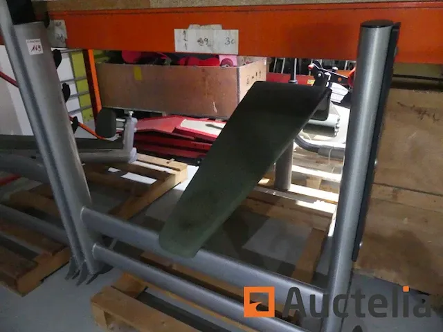 Abdominal crunch (tentoonstelling model) panatta monoliet - afbeelding 6 van  14